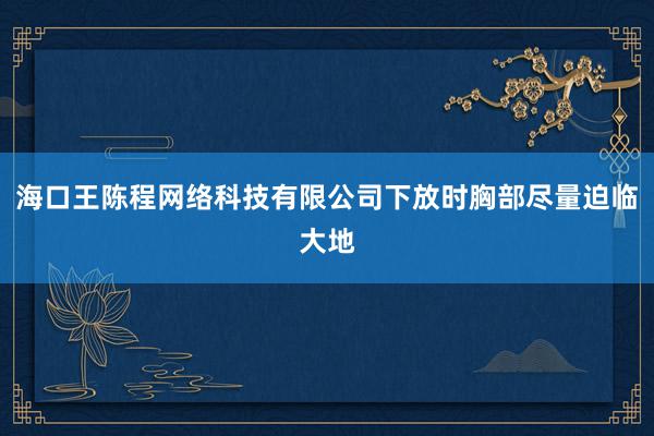 海口王陈程网络科技有限公司下放时胸部尽量迫临大地